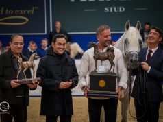 بثلاثية ذهبية معززة بالفضة والبرونز مربط دبي يقود الإمارات للمركز الأول في كأس كل الأمم بألمانيا