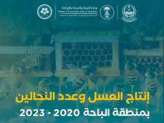 إرتفاع إنتاج العسل في منطقة الباحة إلى ١١٠٠ طن