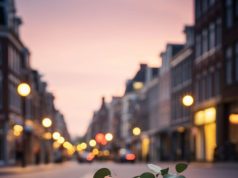 الشخصيه الجذابه