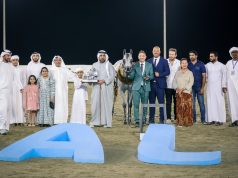 مهرجان الشارقة كلباء السادس للجواد العربي ٢٠٢٤