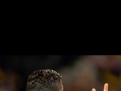 في مبارة مارثونية منتخب البرتقال يفوز بخماسية على الدنمارك