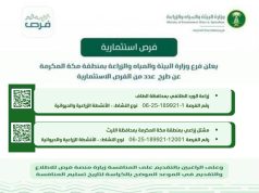 بيئة منطقة مكة المكرمة تطرح فرصتين للإستثمار