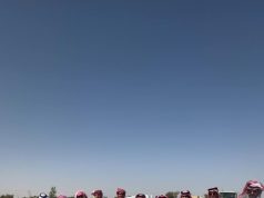 بيئة الطائف تنفذ حملة تشجير في الأملح دعماً لمبادرة السعودية الخضراء