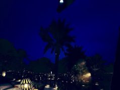 العيــــد فرحـــه