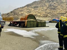 بيئة أضم تنفذ فرضية لاشتعال حريق بسوق الأعلاف