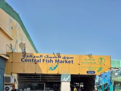 (بيئة جدة تكثف الرقابة على مرافئ الصيد ومنافذ بيع الأسماك لضمان الالتزام بالأنظمة)