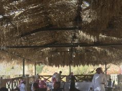 بيئة الطائف تُنفذ برنامجاً تدريبياً حول الممارسات الزراعية الجيدة للورد الطائفي بالتعاون مع “ريف” و”الفاو”