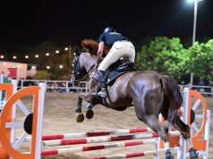 انطلاق منافسات بطولة دوري جمعية فرسان لقفز الحواجز بجازان