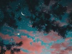 صباحي بدونك زي الزهور من غير ريحة