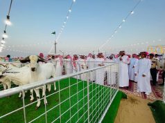 بيئة القنفذة تنظم ملتقى الماعز البيشي الأصيل