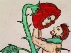 وردةٌ على جِذعٍ من شوك”