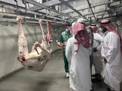 بيئة منطقة مكة المكرمة تنظم ورشة تدريبية متخصصة ترفع كفاءة المراقبين الصحيين في أسواق اللحوم والأسماك