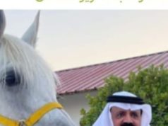 الحج والتصفية