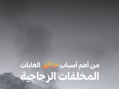 ما تفعله اليوم… تحصده غدًا