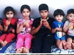 “حين يُذبح القلب: الطبيبة آلاء وشهداء الروح التسعة”