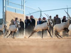 في ختام موسم الإطلاقات: أكثر من 1,200 حياة تنطلق في الطبيعة