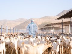 “وقاء” يسهم في تعزيز بيئة آمنة ومستدامة لضيوف الرحمن خلال موسم الحج