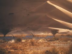 تسجيل محمية عروق بني معارض في القائمة الخضراء للاتحاد الدولي لحماية الطبيعة