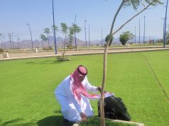 بيئة رابغ تنفذ سلسلة مبادرات وجولات ميدانية لتعزيز الاستدامة وسلامة البيئة