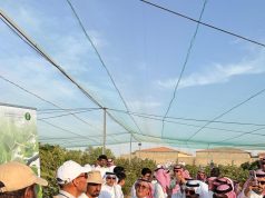 بيئة الطائف تنظم أربع ورش عمل إرشادية لتعزيز الإنتاج الزراعي والحيواني