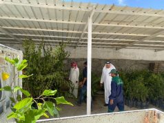 “بيئة بني مالك” توزع 5000 شتلة لتعويض المتضررين من الحرائق في ميسان