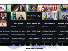 ممثلة لرئيس الجمهورية, السيدة منصوري تشارك في قمة لجنة العشرة الإفريقية حول إصلاح مجلس الأمن