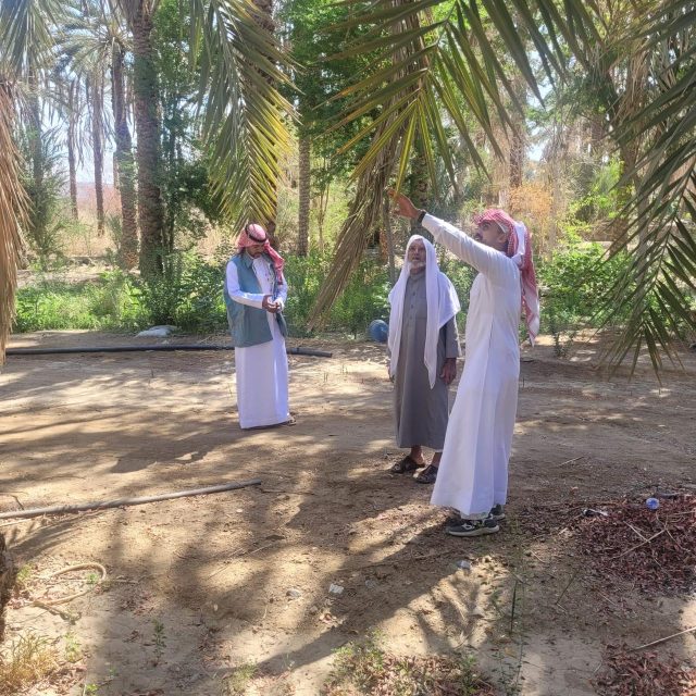 2c367cac-4878-47ef-b0a7-8cad710bb3c0