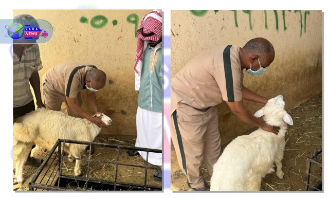 330832451_587004352979024_6144596162453046783_n