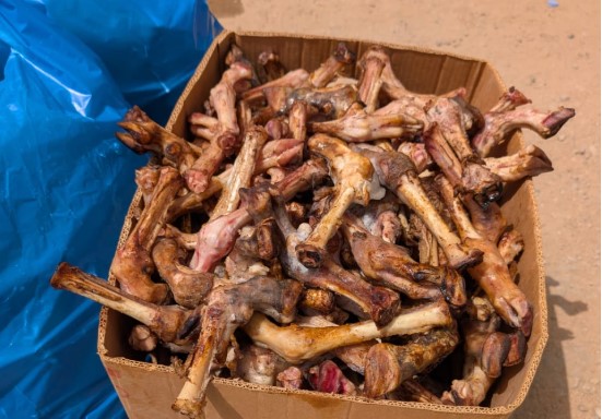 492455837_10233848175493359_4453805393397440782_n