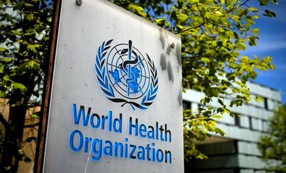 522141029_1945612322877939_8507943219301556082_n