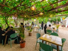 تجارب تذوق لا تُنسى في صيف عسير