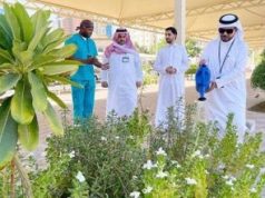 “بيئة العاصمة المقدسة” تنفذ مبادرات تطوعية لتعزيز استدامة المزروعات