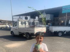 بيئة الطائف تطلق مبادرة لتوزيع شتلات في أسواق النفع العام دعمًا للتشجير وزيادة الوعي البيئي