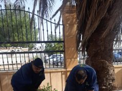 “بيئة جدة” تنفذ مبادرة تطوعية لرعاية الشتلات في مقر الأمن الدبلوماسي لتحقيق الاستدامة