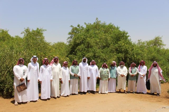 IMG-20250727-WA0244(1)