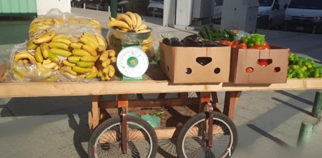 ce3689fa-42d2-4600-9fef-4c8a603379af