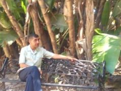 من رسائل الحمام المقيد