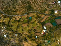 من قمم الهدا إلى أسواق الطائف القديمة..