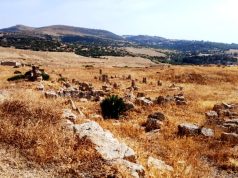 رابيدوم.. التاريخ المهجور