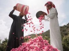 أفضل الأمكان في صيف الطائف سفاري ونسيم الشفا وحديقة الردف