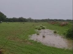 الأمطار تكسو جازان خضرة والأهالي يتنزهون في الأجواء العليلة