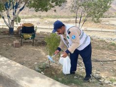 “بيئة القنفذة” تنفذ مبادرات ميدانية لتحسين البيئة الزراعية