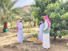 بيئة العرضيات تشرف على جني ثمار المزارع النموذجية دعمًا للأمن الغذائي