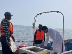 بيئة الليث تنفذ حملة تفتيشية على مراسي الصيد لضبط المخالفات وحماية الثروة السمكية 