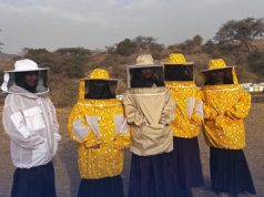 كيان تختتم رحلتها إلى منطقة عسير لصيف 2025 سياحة وثقافة في أحضان الطبيعة