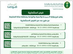 “بيئة منطقة مكة المكرمة” تطرح فرصًا استثمارية واعدة في القطاع الزراعي بعدد من المحافظات