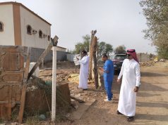 لجنة الإصحاح البيئي بمحافظة ضمد تكثف جهودها في ضبط المخالفات الصحية والبيئية”