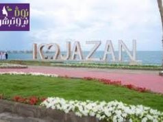 العنوان نوفا نيوتريشن… انطلاقة حلم من أرض جازان