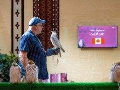 صقارون دوليون يثمنون تسهيلات نادي الصقور في نقل واستضافة الصقور المشاركة بالمزاد الدولي لمزارع الإنتاج