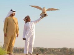 مدرسة خاصة للصفارة وفراسة الصحراء بابو ظبي